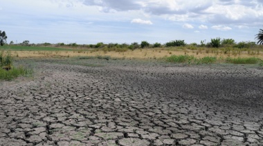 Un grupo de productores lograron revertir el impacto de la sequía en Uruguay