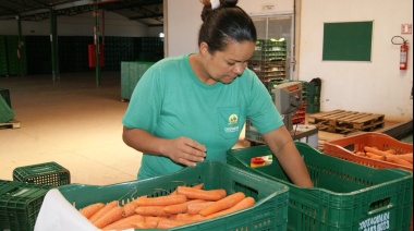 Cómo Brasil logró sacar a 13 millones de personas del hambre