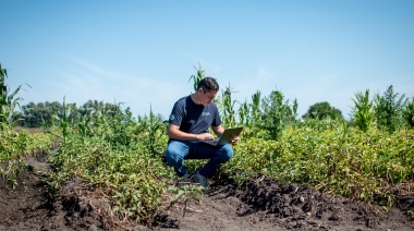 EDRA convierte las prácticas agrícolas sostenibles en activos digitales climáticos
