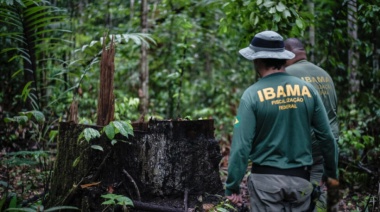 América Latina expande el marco legal contra los delitos ambientales