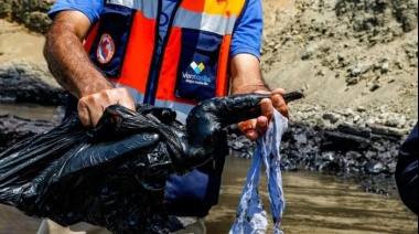 ONU pide legislación más estricta para crímenes contra el medio ambiente
