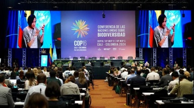 COP16: Gobierno, sociedad civil y sector privado debaten sobre planes de acción para proteger la biodiversidad