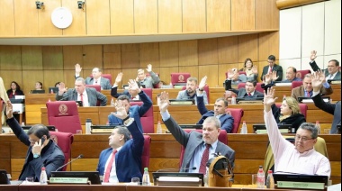 Red Latinoamericana sobre Democracia alerta sobre “ley garrote” a oenegés aprobada en Paraguay