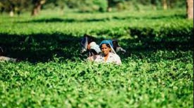 Mujeres rurales en México enfrentan el desafío de derribar las brechas existentes
