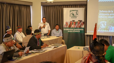 Perú: Exigen erradicar minería en defensa de la Amazonía
