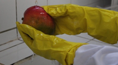Investigación colaborativa desarrolla tecnología de recubrimiento de frutas para la agricultura familiar