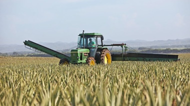 La Comisión Europea permite el uso del glifosato una década más