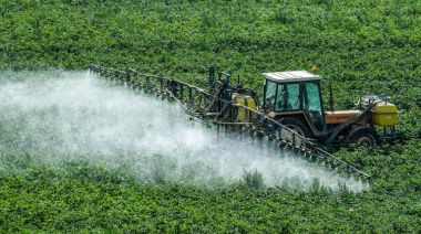 Qué hacer ante la exposición a agrotóxicos: lanzan una guía para médicos de pueblos fumigados