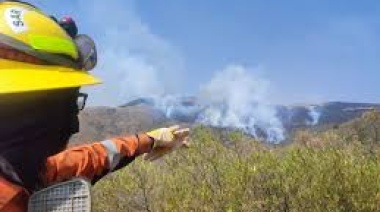 Los incendios forestales son una amenaza para la biodiversidad del Gran Chaco y la Amazonía