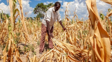 El 80% de la población mundial desea que los gobiernos adopten medidas más enérgicas contra el cambio climático