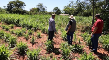 Titulación de tierras: El 40% de la clave para el éxito rural, según estudios
