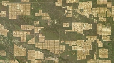 La deforestación en el Chaco, el caso del distrito de Irala Fernández
