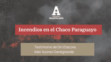 Incendios en el Chaco Paraguayo: Testimonio de Diri Etacore