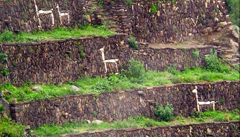 Perú: La llama en contextos históricos y geográficos