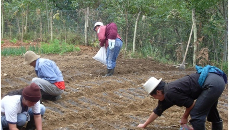 La Minga y el trabajo voluntario: herencia, tradición y práctica bien Latina