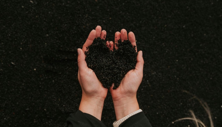 Besa el suelo, la revolución silenciosa bajo nuestros pies