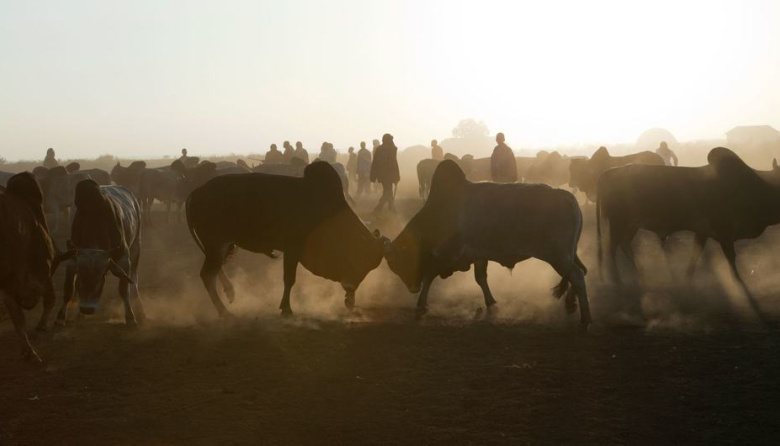 La ONU reafirma la integridad territorial de Somalia tras el reconocimiento de Somalilandia por Israel