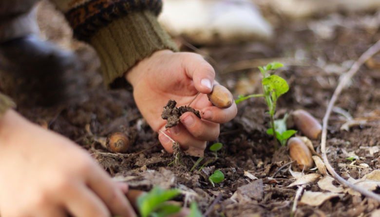 La batalla por las semillas en América Latina: cómo avanza el cerco legal y cómo responden los pueblos