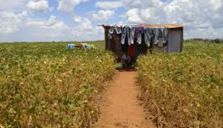 Concentración y desigualdad en la tenencia de la tierra en Paraguay: de la configuración histórica a las dinámicas contemporáneas