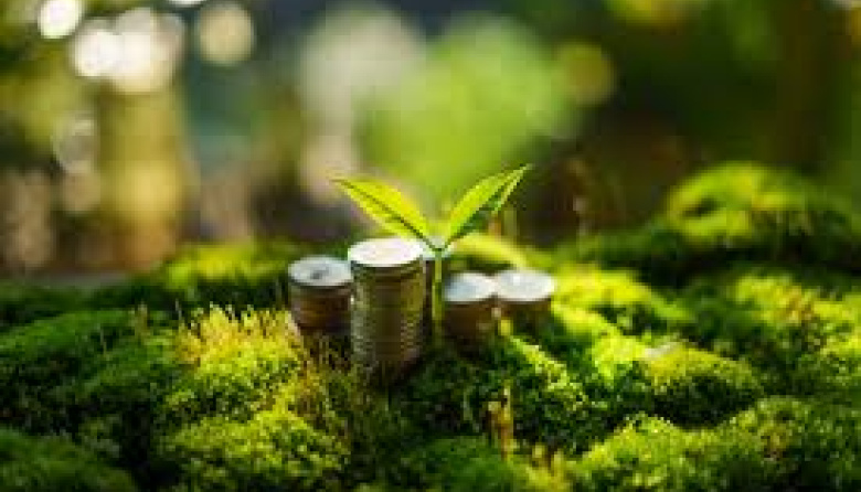 Inversiones que dañan la naturaleza superan 30 a 1 a las que la protegen