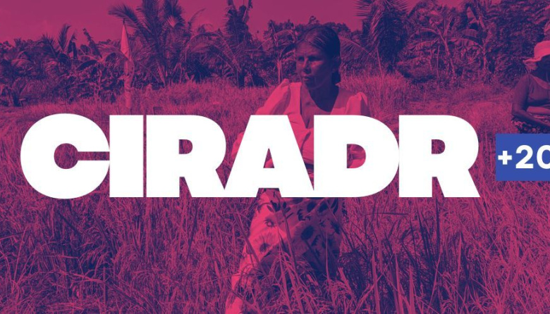 Viene la II CIRARDR+20: pueblos y organizaciones se movilizan