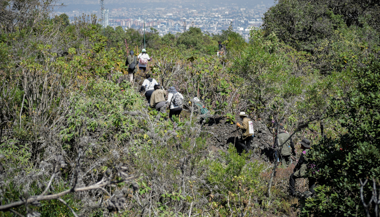 “Mientras adentro celebran, afuera lloramos” Familias en búsqueda lanzan llamado a manifestación nacional en la inauguración del Mundial 2026