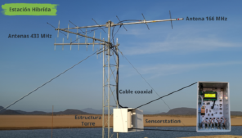 Instalaron la segunda antena de la Red Motus en la Patagonia austral para el rastreo de aves migratorias