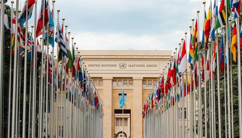 El desplome de la ONU y el Estado Nación