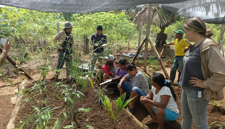 Las redes de cuidado comunitario también sostienen el ambiente, según un estudio regional