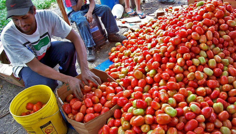 Emprendimientos locales impulsan nuevas oportunidades económicas en Honduras