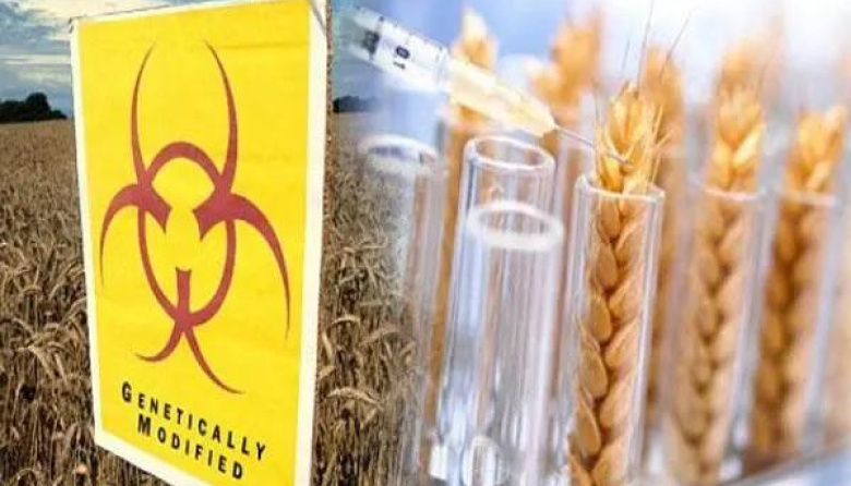 Europa abre la puerta a una nueva ofensiva corporativa sobre las semillas y la soberanía alimentaria.