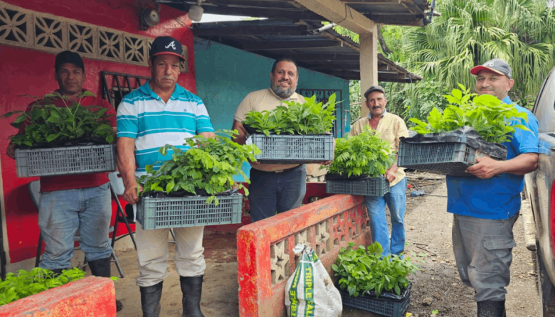Más de 11.600 productores de Centroamérica se incorporan al mercado voluntario de carbono