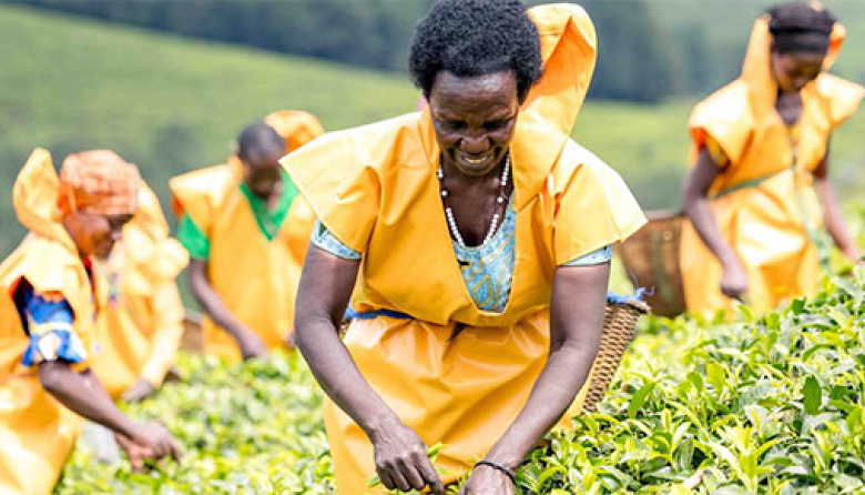 Alimentar a África: las agricultoras, clave para acabar con el hambre