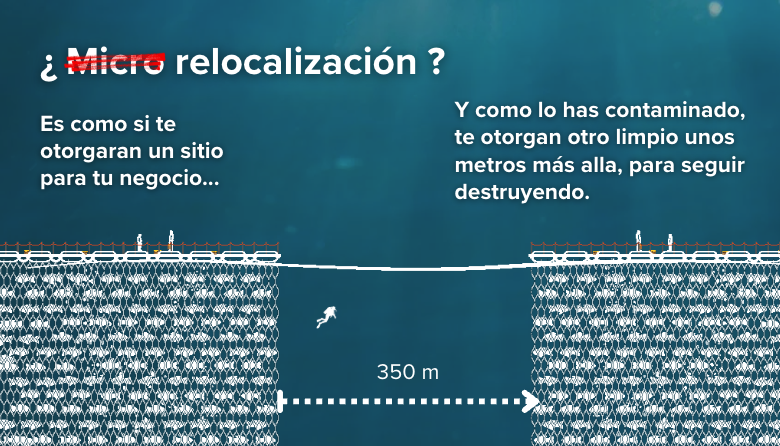 ONGs rechazan flexibilización de estándares ambientales para la industria salmonera en Chile