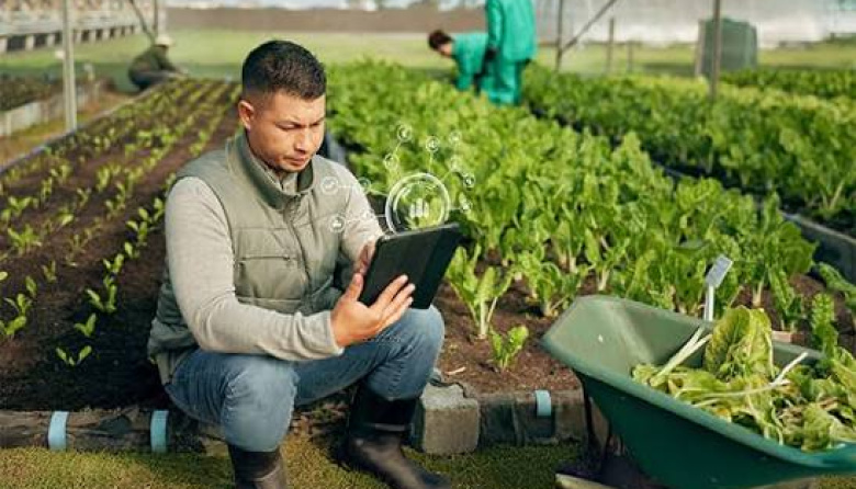 Finanzas regenerativas: Nuevos modelos de inversión que buscan transformar la agricultura en América Latina