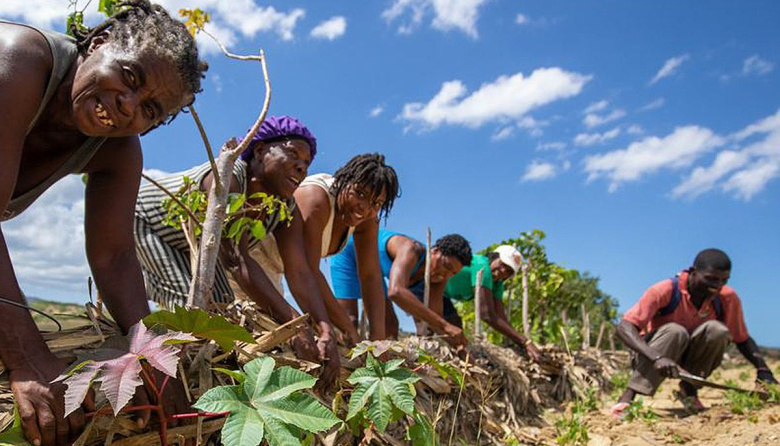 República Dominicana: cuando el campo deja de hablar creole, la canasta básica se tambalea