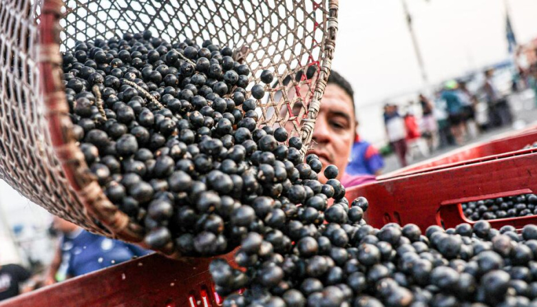 América Latina busca convertir su potencial agroalimentario en inversiones para el campo
