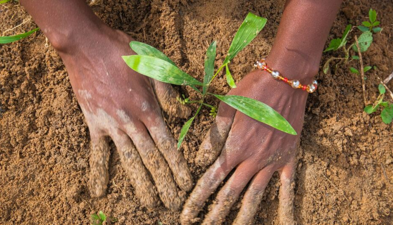 La degradación de la tierra cuesta al mundo casi un billón de dólares al año