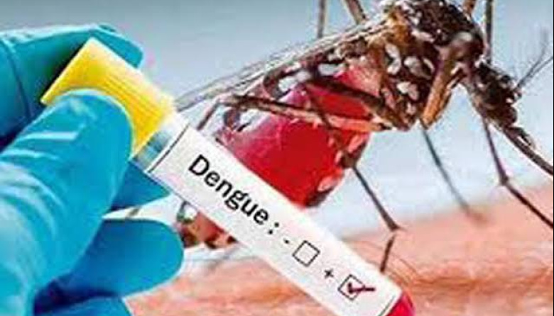 Ecuador registra 32 mil 576 casos de dengue y 35 fallecidos