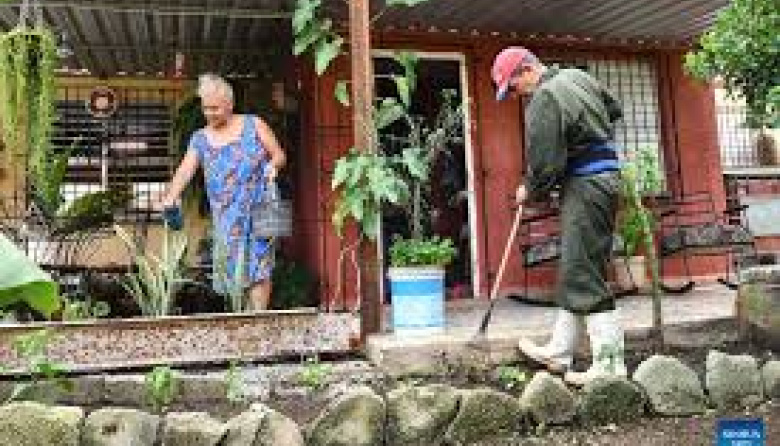 Cubanos convierten patios en huertos ante crisis alimentaria