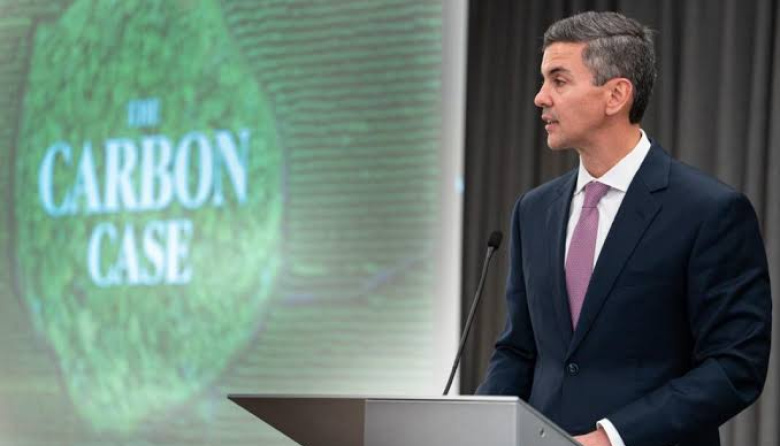 Inversión de USD 200 millones impulsará industrialización de la madera y empleo rural