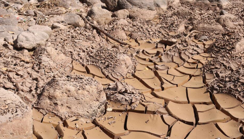 El Niño gana fuerza en América Latina: sequía, hambre y riesgo de inundaciones marcan los próximos meses