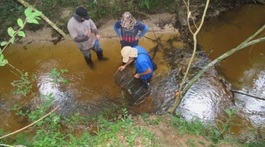 Investigadores registran nuevas especies de peces en Paraguay