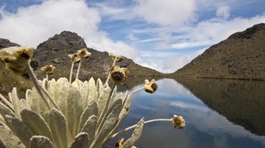 La Crisis Climática: una crisis de Derechos Humanos