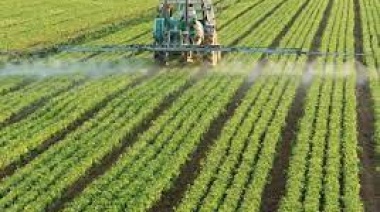 Oligopolios en la alimentación mundial, ganancias millonarias y pandemia de hambre
