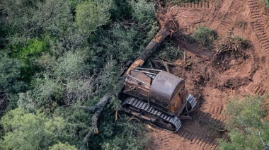 Europa sancionó una ley contra la "deforestación importada"
