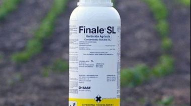 El trigo transgénico y su relación con el glufosinato de amonio, herbicida 15 veces más tóxico que el glifosato
