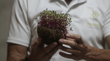 Apuestan por microvegetales y sistemas alimentarios urbanos sostenibles en Cuba