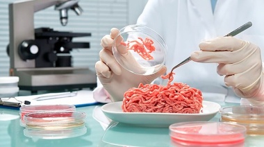 Del laboratorio a la mesa: ¿cómo avanza la producción de carne cultivada en el mundo?