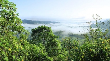 Brasil subvencionará a comunidades tradicionales para que conserven selva amazónica